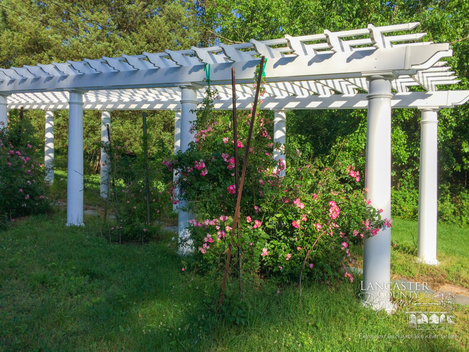 8×88 Carolina Long Garden Pergola